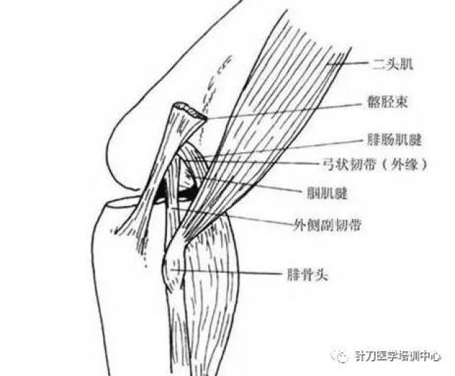 干货| 针刀治疗韧带损伤篇(颈,腰,膝)