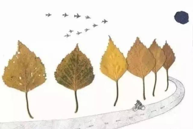 【轻松一刻】抓住秋天的小尾巴,作一幅树叶贴画吧!