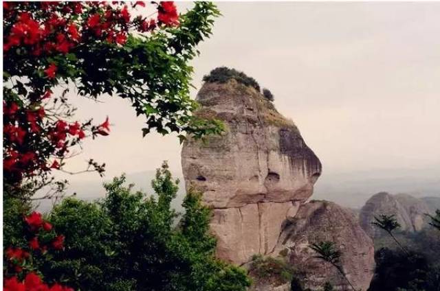 桂山风景区感受不一样的世界领略另一种空灵陪我翻越河源的每一座山