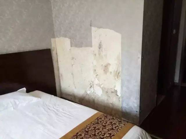 墙纸墙布发霉了怎么办?