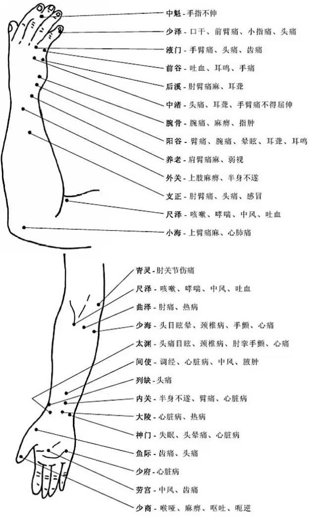 肩贞穴的作用:治疗肩关节炎,上肢麻痹 臂臑穴的作用:治疗颈椎病,手臂