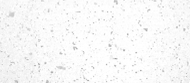 大雪日 | 你见过下雪的上外吗?