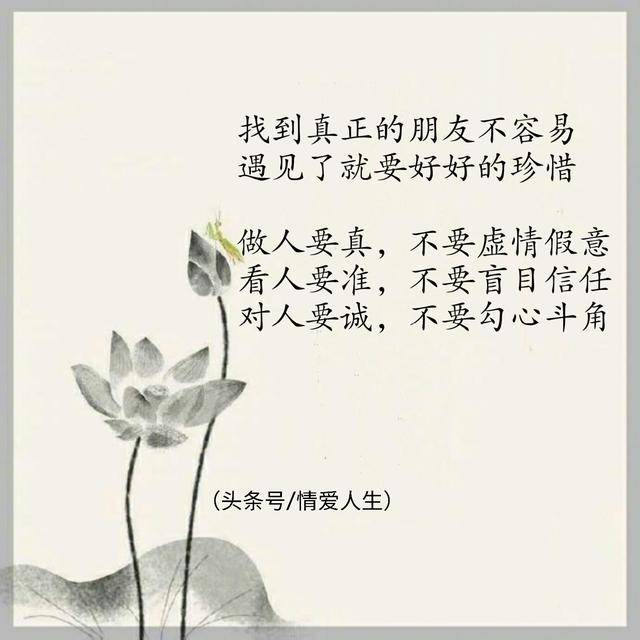 做人要真,别虚情假意;对人要诚,别勾心斗角.(鸡汤,美文)