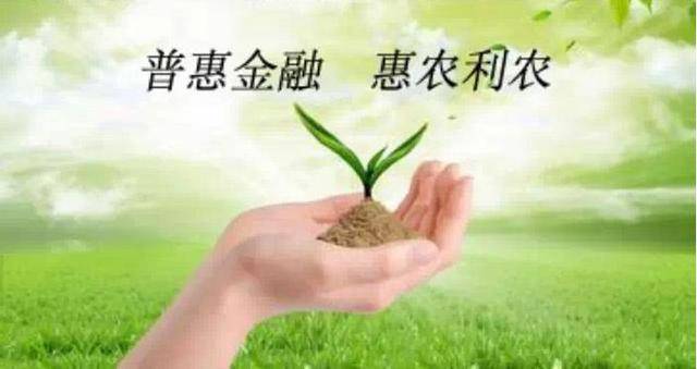 金融新风向:沙河银行引领行业变革