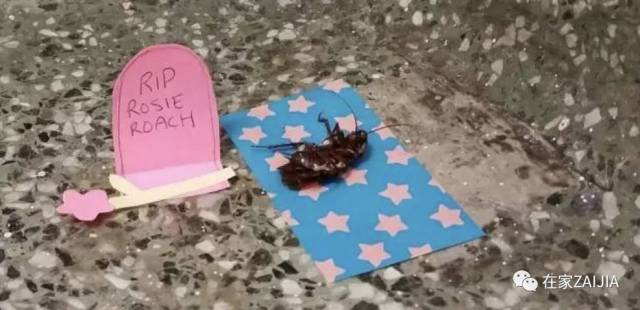 小强宝宝的100种死法…