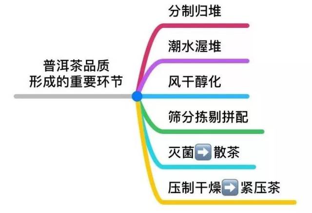 普洱,是绿茶还是黑茶?