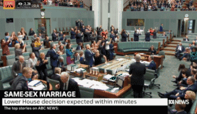 刚刚正式立法!澳洲同性婚姻合法啦!全澳46800