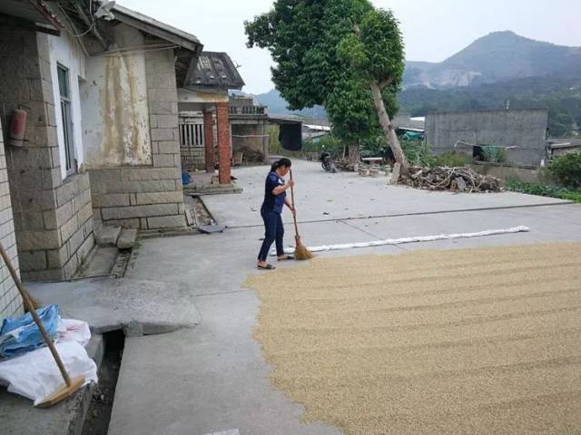 【纪实】“麻风病村”最后的坚守者