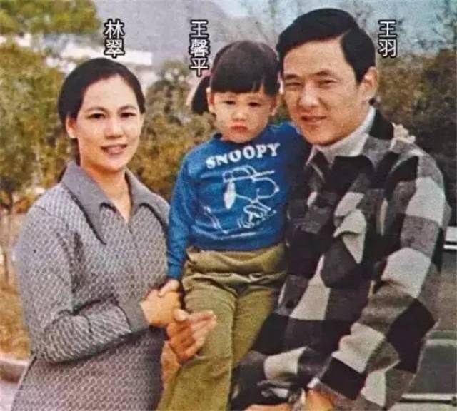 张彻弟子的爱情故事,王羽多情,狄龙姜大卫专情,傅声最