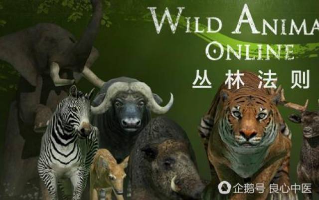 丛林法则是一个社会学政治学概念,指的是在法治不健全的社会,专制生活