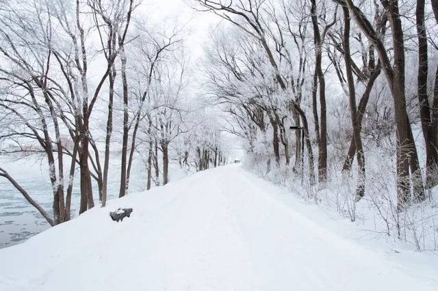 大雪纷飞至,你更需要它!