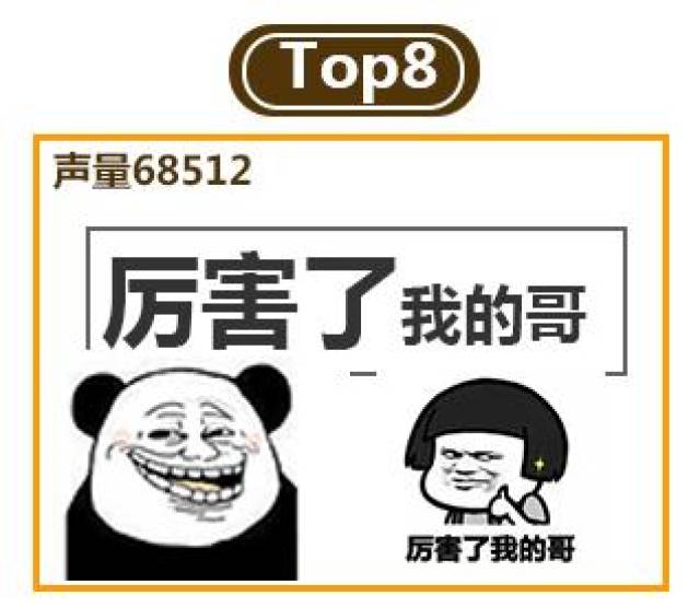 大数据娱乐盘点丨2017年网络流行语TOP10,第一名你肯定想不到!