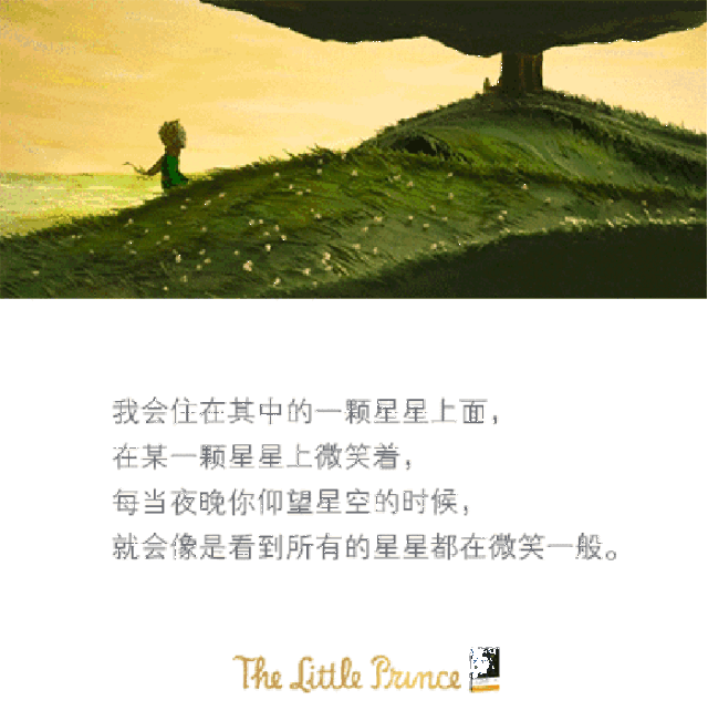 小王子从没见过这样的植物,这是一株玫瑰.