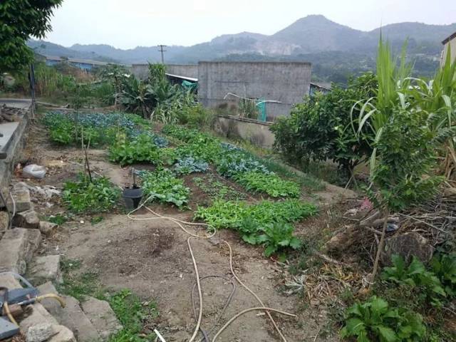 【纪实】“麻风病村”最后的坚守者
