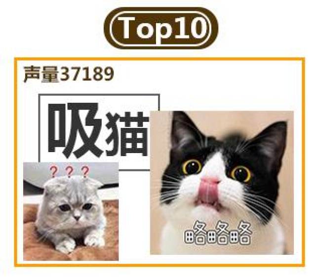 大数据娱乐盘点丨2017年网络流行语TOP10,第一名你肯定想不到!