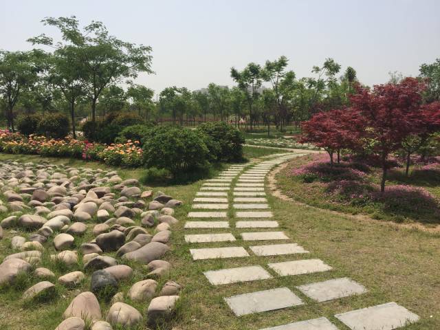 海底捞、真功夫均分股权后果不同,创业股权平