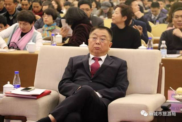 童国锋部长代表麻城市委,市政府致辞