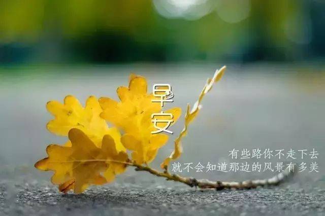簲ͼƬ ĩ簲Ψ¼