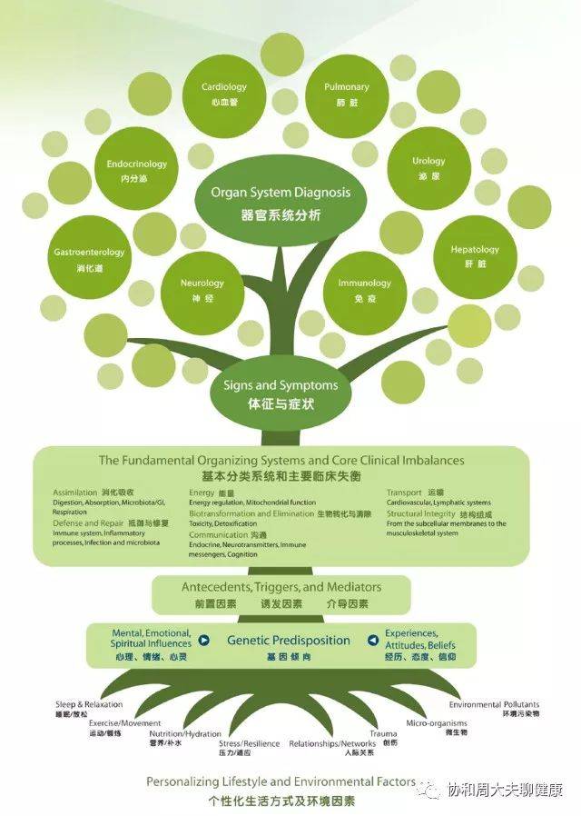 2017-12-9随笔:功能医学培训有感