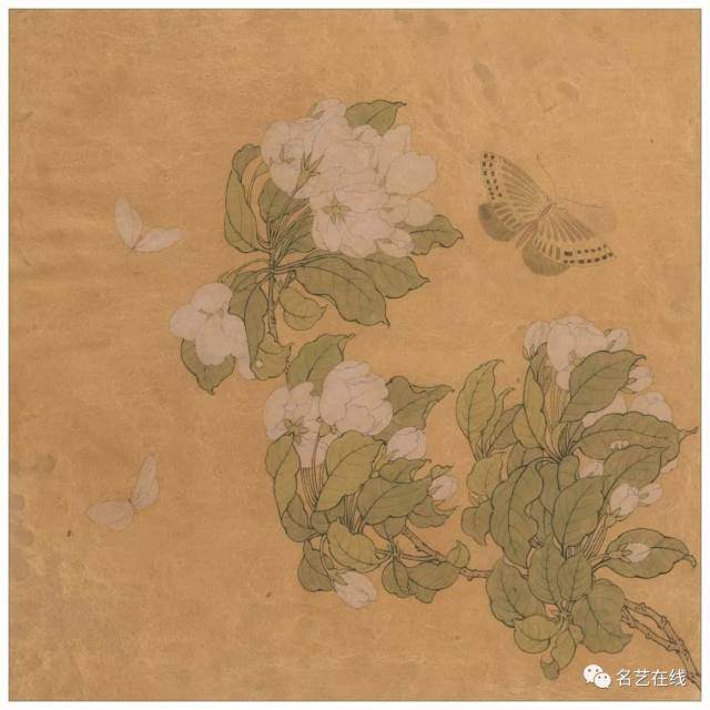国画技法:工笔画《海棠蛱蝶图》绘制步骤