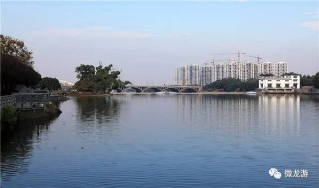 明月何时照我还?龙游双桥的那些事儿~