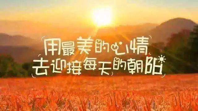 早安  正能量 现实会告诉你,不努力就会被生活给踩死,无需找什么