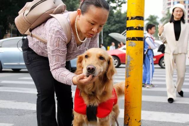 对失明的她而言,这只狗狗不仅是她的眼睛,也是她的家人