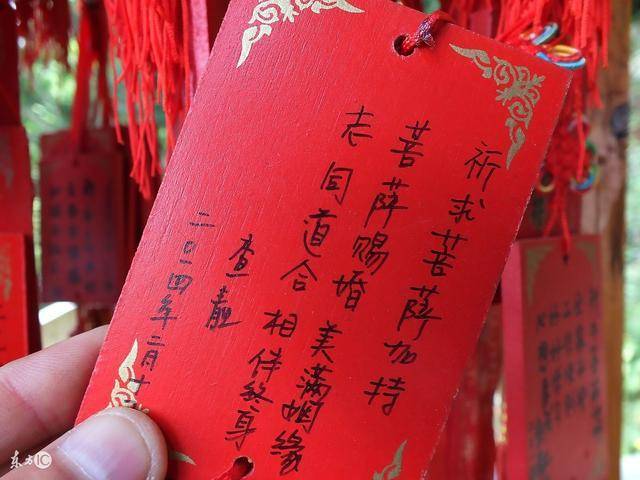 成语什么姓什么名_成语故事手抄报(3)