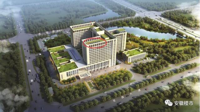 滨湖房价还要涨！全国顶尖医院规划首曝光！省立医院砸70亿建“巨无霸”！最