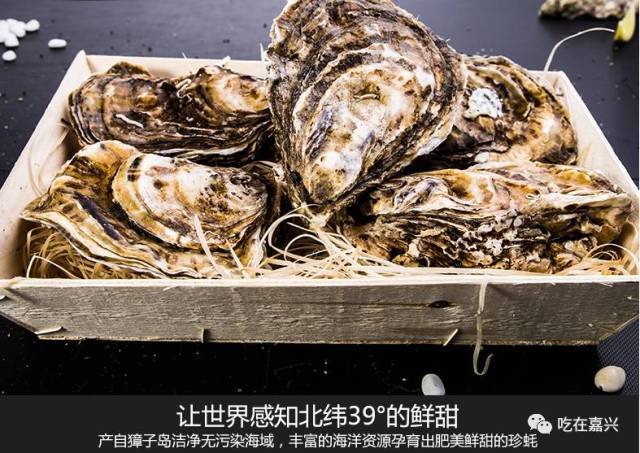 什么年代还在吃蒜蓉生蚝,生蚝界的爱马仕嘉兴的吃货你们在哪里?