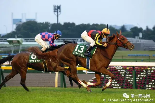 赛马:日本三冠王"黄金巨匠"之女摘日本阪神两岁母马赛