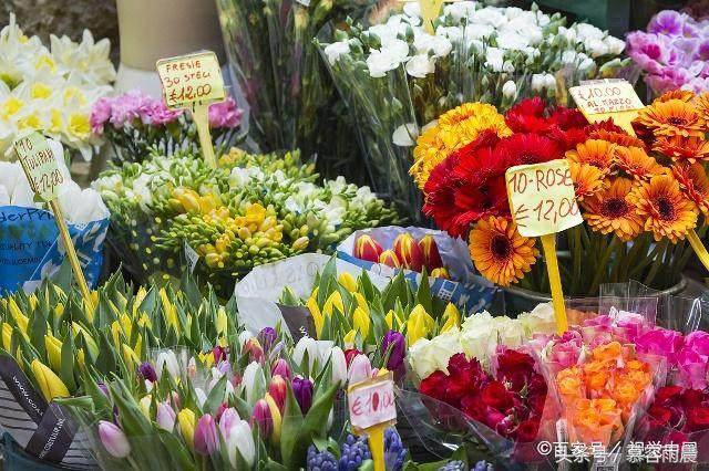 沈阳什么地方批发鲜花好 沈阳什么地方批发鲜花好