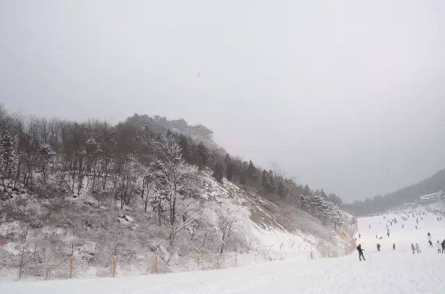 七峰山滑雪场"1折优惠"在线秒杀活动即将开启!