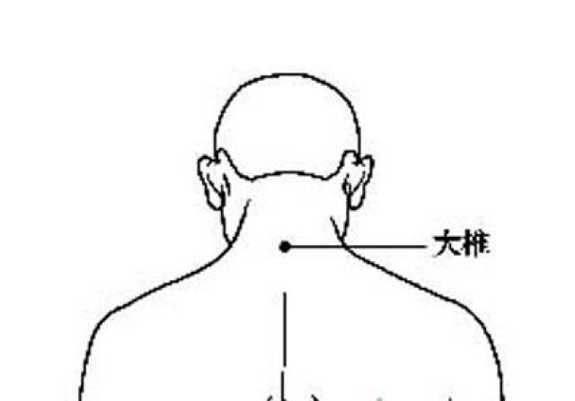 啥是中气下陷 95e5fb6d007840cf8a48d80d97d2b6cb.jpeg