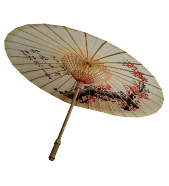 油纸伞—汉族传统工艺品之一