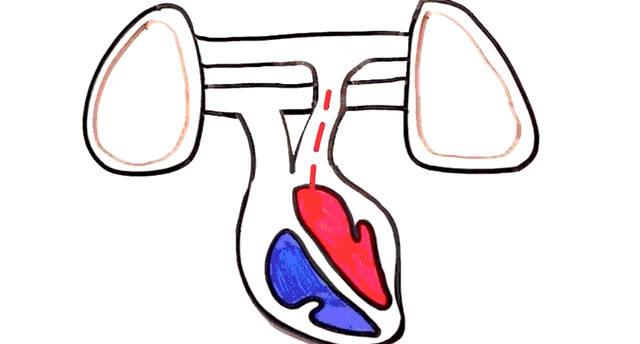 【科普】雾霾入体全过程,我们都应懂得保护自己