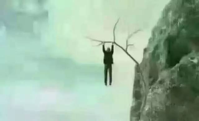 ca0771d8352644318d037894eda76e6d.jpeg