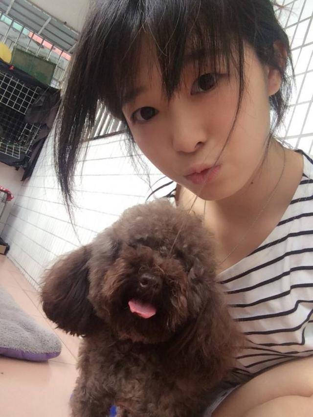 泰迪犬为什么爱舔人的脸,到底能不能舔?