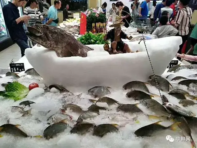 富有生命力的冰鲜水产!冰台制作及陈列