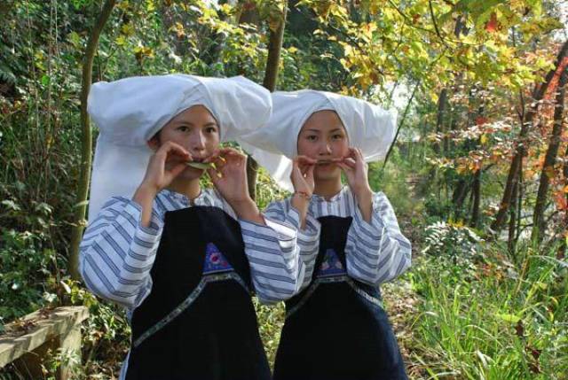 云南长底坡脚村:传承弘扬布依文化有“绝招”