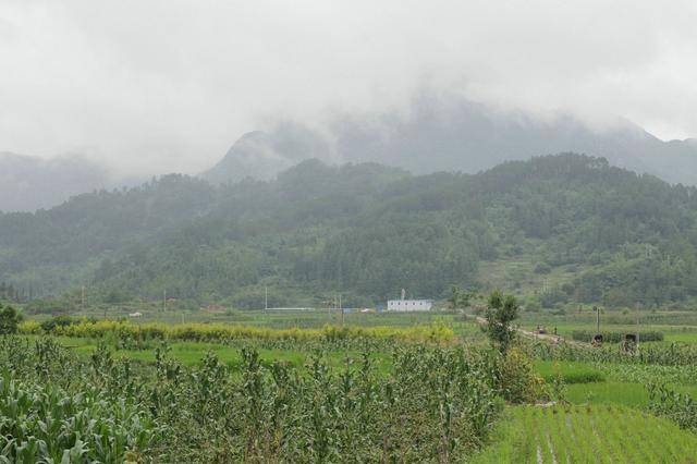 云南长底坡脚村：传承弘扬布依文化有“绝招”