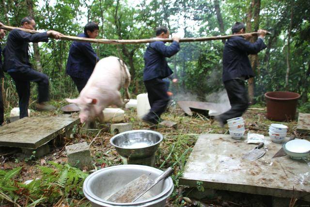 云南长底坡脚村:传承弘扬布依文化有“绝招”