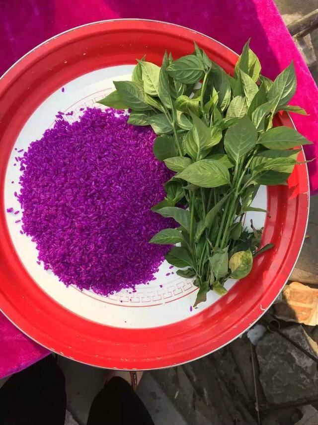 云南长底坡脚村:传承弘扬布依文化有“绝招”