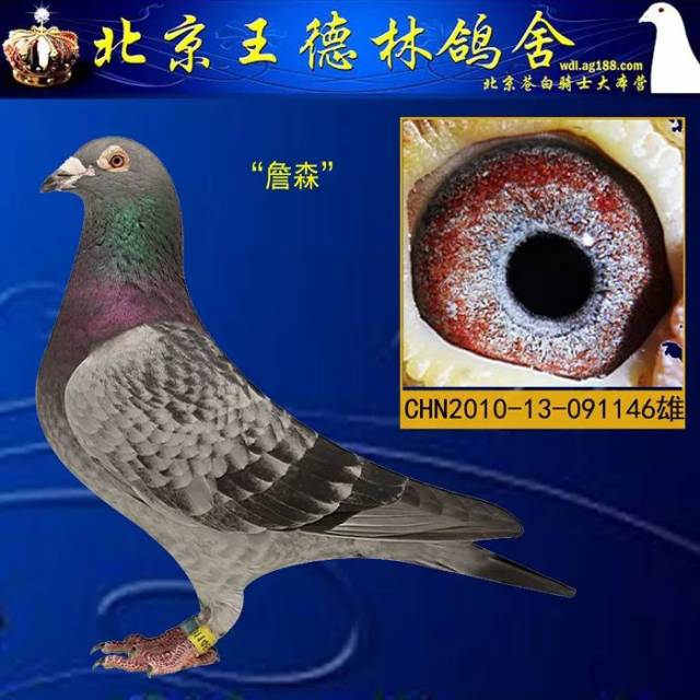 6ָᾫƷղɭָͳ,аиĸղɭԭ
