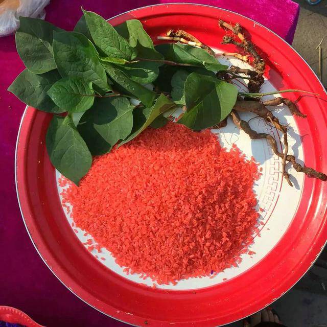 云南长底坡脚村:传承弘扬布依文化有“绝招”