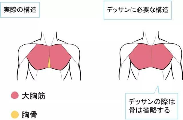 如果性感有形状,那一定是胸肌的模样