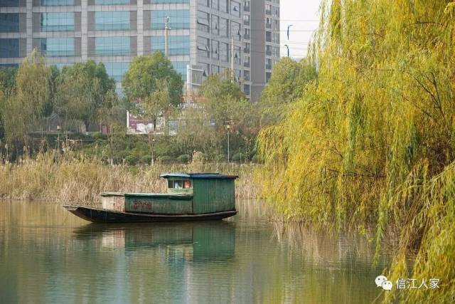 湿地公园形成了融多种风格为一体的湿地风光带,具有较强的观赏性.