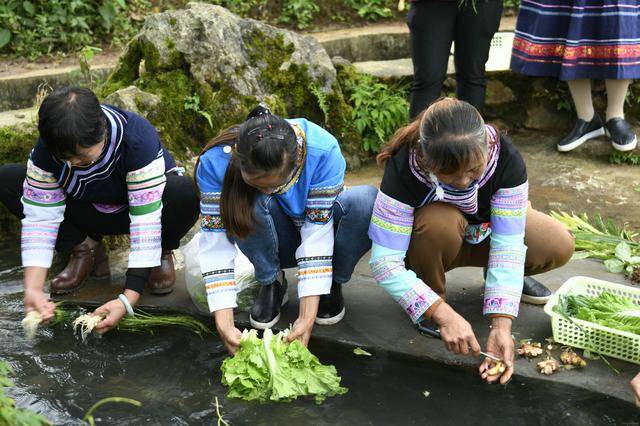 云南长底坡脚村：传承弘扬布依文化有“绝招”