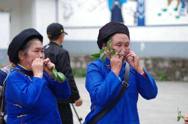 云南长底坡脚村:传承弘扬布依文化有“绝招”