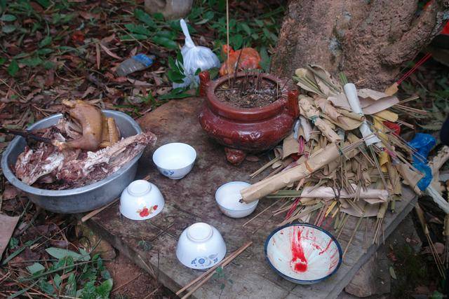 云南长底坡脚村：传承弘扬布依文化有“绝招”